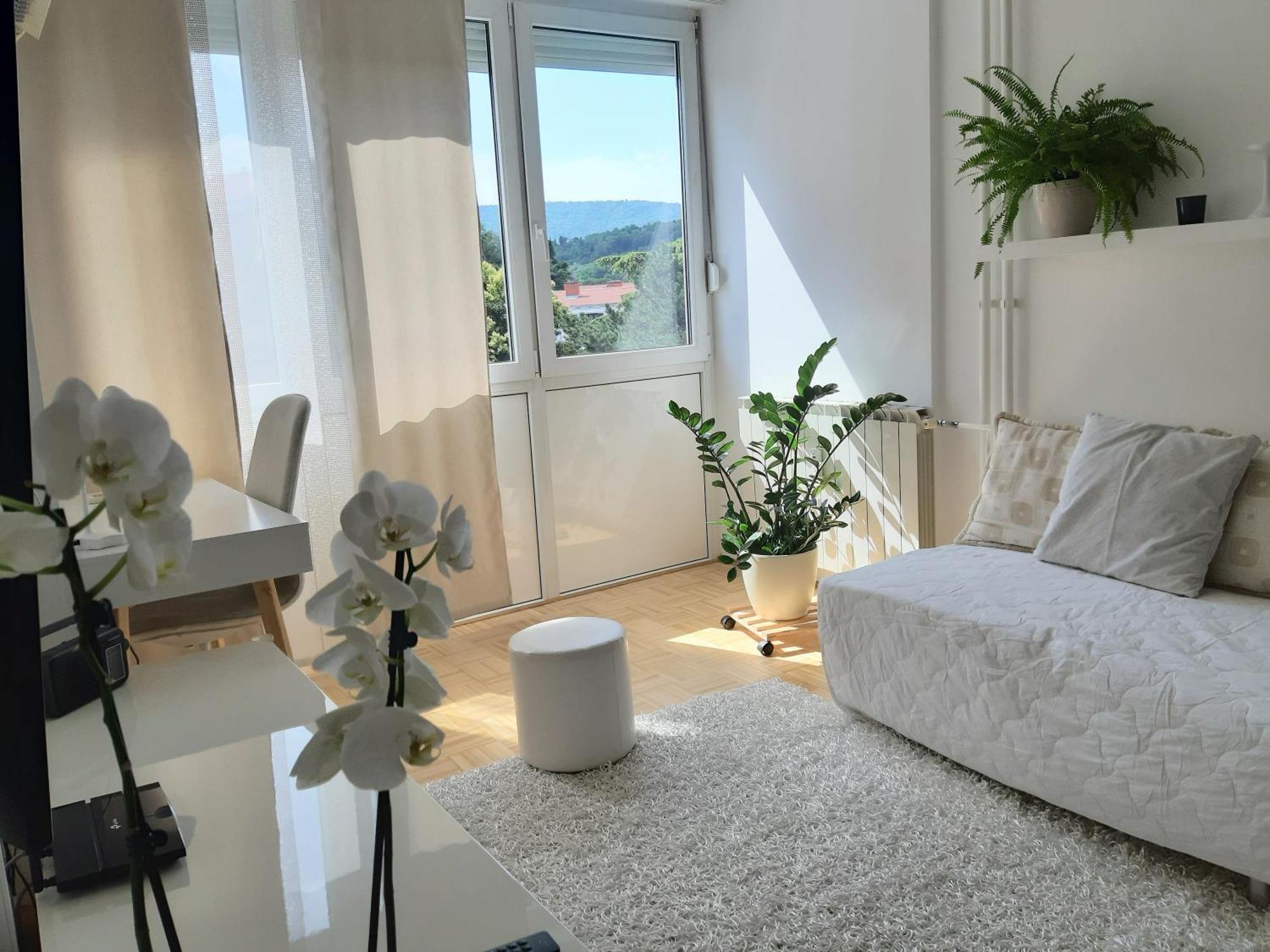 Apartma Eva Koper Exterior photo